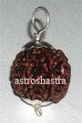 Rudraksh Beads & Pendants