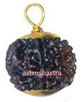 Rudraksh Beads & Pendants