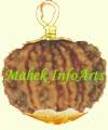 Rudraksh Beads & Pendants