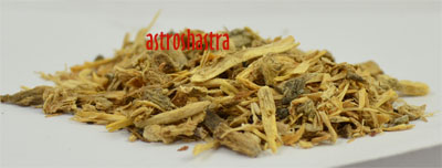 angelika roots