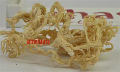 irish moss