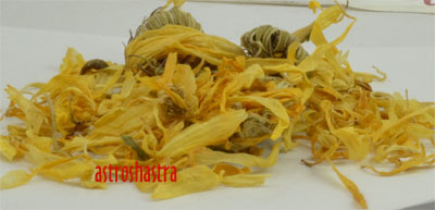 calendula 
