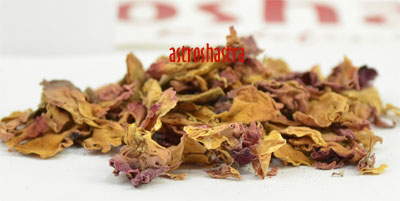 dried rose