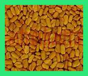 methi