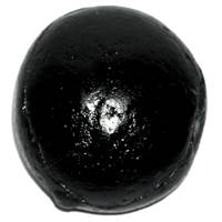 No Image Found