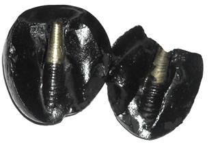 Shivlinga Shaligram (2)