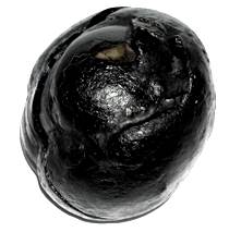 Shivlinga Shaligram (3)
