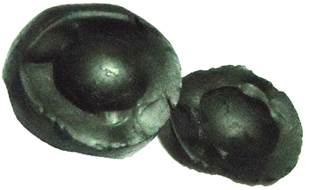 Shivlinga Shaligram (4)
