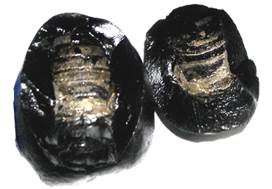 Shivlinga Shaligram (5) 
