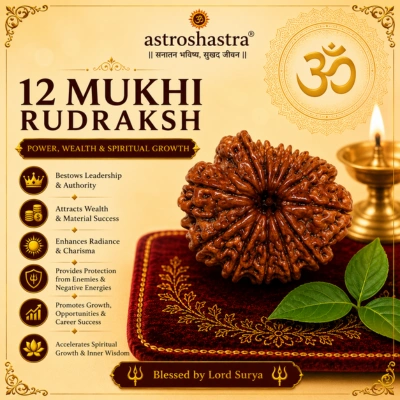 Twelve Mukhi Rudraksha