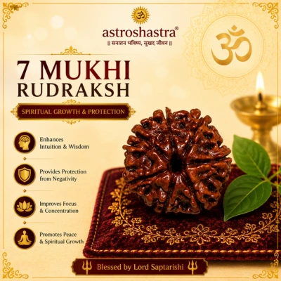 Seven Mukhi Rudraksha