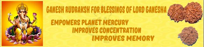 ganesh rudraksha