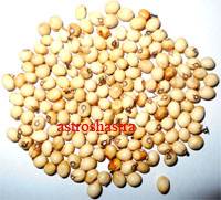 yellow chimri beads