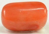 Red coral