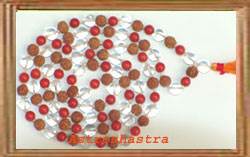 Rudraksh & Diamond Cut Crystal & Red Coral