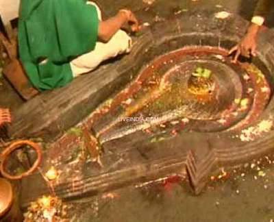 Bhasmashanker