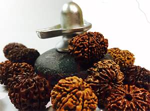11 mukhi rudraksh emerald