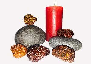 one mukhi rudraksha