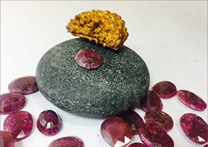 1mukhi rudraksha