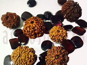 8 mukhi rudraksh emerald