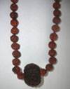 Six Mukhi Collector Rudraksh in Five Mukhi Rosery