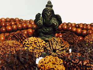 8 mukhi rudraksh emerald