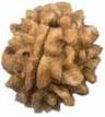 Fake One Mukhi round Rudraksha