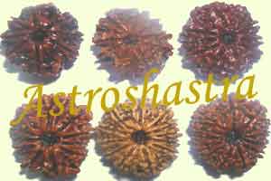 Collector Rudraksh-Set of six collector beads i.e.