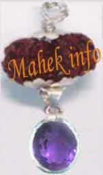 Gaurishanker Rudraksh with Amethyst 