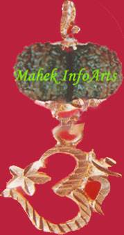 Gaurishanker Rudraksh with Gold Plated Silver Om P
