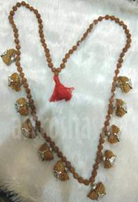 11 one mukhi