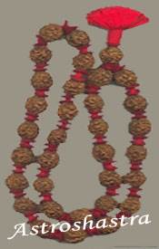 Four Mukhi 
Nepal Rudraksha
Beads Kantha
(54+1)