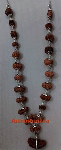 Indrakshi Mala (1-21 mukhi)Java beads
