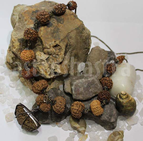 indrakshi mala