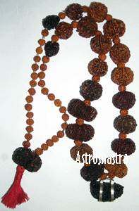 Rudra Kanth Sidh Mala