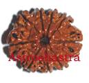 9mukhi 