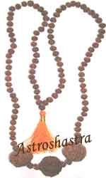 Rudraksh Beads & Pendants