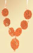 Rudraksha Power Pendant-2 (nepal+Indian Beads) in 