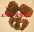Rudraksha Power pendant - 1 (Nepal Beads) in Red T