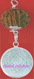 Shree Yantra with
Seven Mukhi Rudraksh
