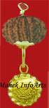 Rudraksh withShree Yantra in Gold 