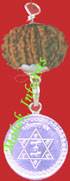 Vashikaran Yantra 
with thirteen Mukhi Rudraksh 