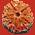 Rudraksh Beads