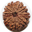 10 mukhi