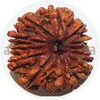 12 mukhi