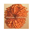 14 mukhi