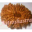 15mukhi
