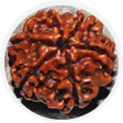 6mukhi