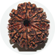 9 mukhi