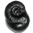 Auspicious Shilas